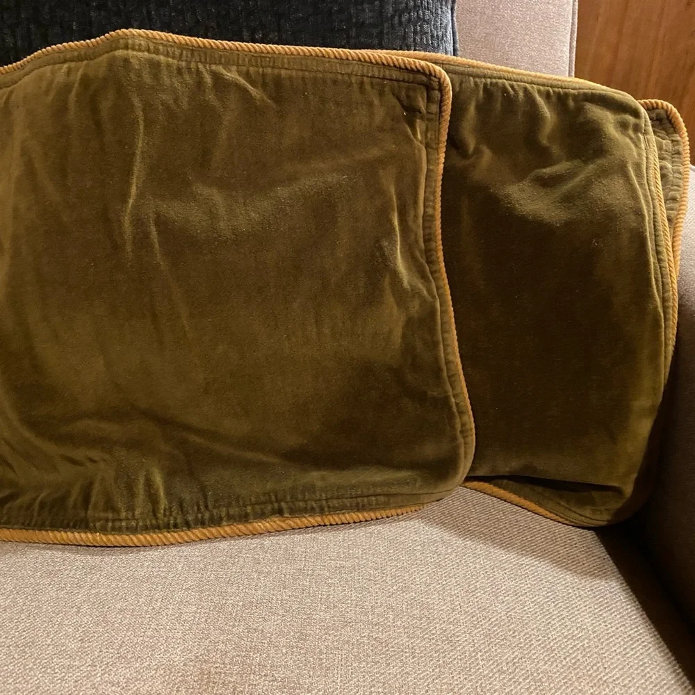 6 Crate & Barrel vintage tweed / velvet green placemats